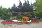 千佛山景区精心布置花坛造型为“五一”节添色彩